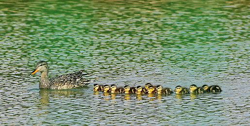 《仙剑奇侠传七原声音乐集》上线Steam 收录78首游戏配乐 发售时间待定